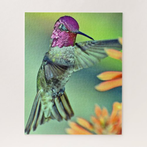 Annas Hummingbird and Aloe Blossom Jigsaw Puzzle