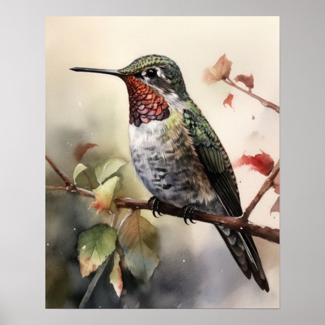 Anna's Hummingbird Bird Art Print Poster (Front)