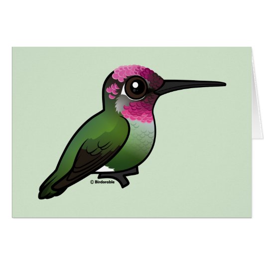 Anna's Hummingbird Cards (Front Horizontal)