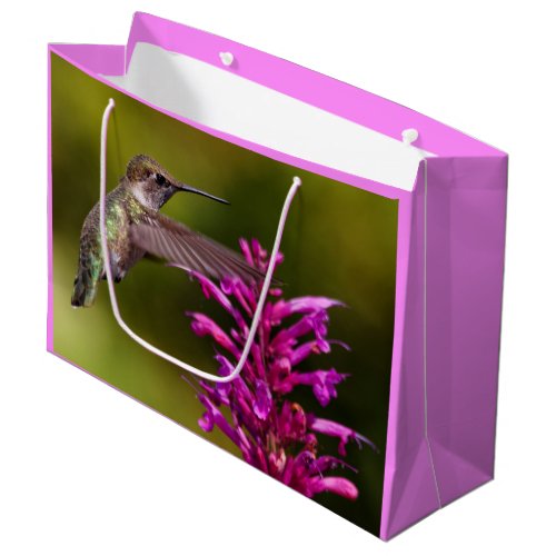 Annas Hummingbird Hovering Before Anise Hyssop Large Gift Bag