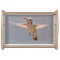 Anna's Hummingbird Hovers in Place