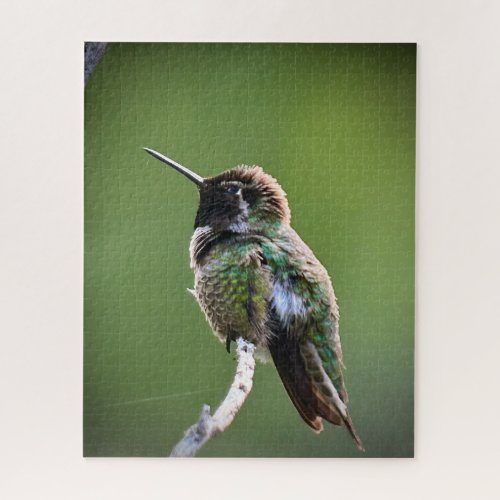 Annas Hummingbird Jigsaw Puzzle