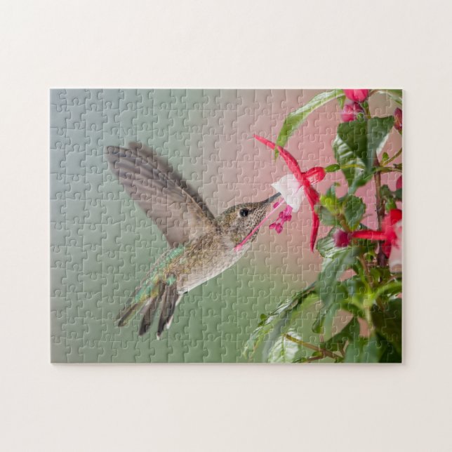 Anna's Hummingbird Jigsaw Puzzle (Horizontal)