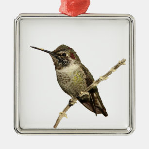 Anna's Hummingbird Metal Ornament