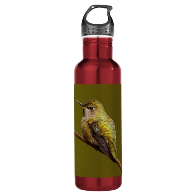 Anna's Hummingbird on a Branch Stainless Steel Water Bottle (Front)