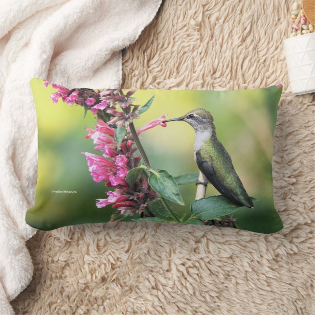 Anna's Hummingbird on Anise Hyssop Flowers Lumbar Pillow (Blanket)