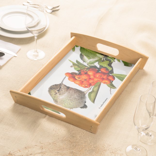 Anna's Hummingbird on Scarlet Firethorn Serving Tray (Front)