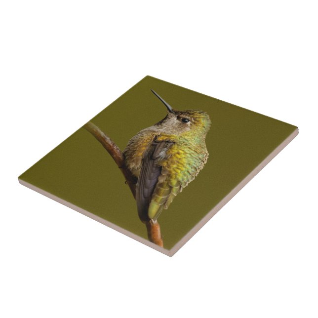 Anna's Hummingbird on Scarlet Trumpetvine Ceramic Tile (Side)