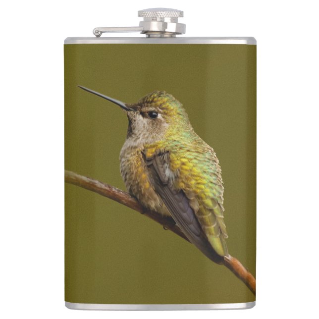 Anna's Hummingbird on Scarlet Trumpetvine Flask (Front)