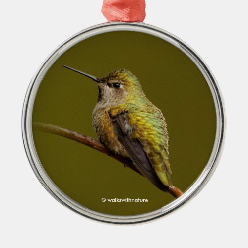 Annas Hummingbird on Scarlet Trumpetvine Metal Ornament