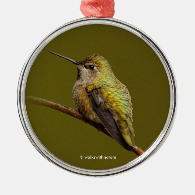 Anna's Hummingbird on Scarlet Trumpetvine Metal Ornament (Front)