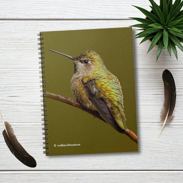 Anna's Hummingbird on Scarlet Trumpetvine Notebook (Anna's Hummingbird on the Scarlet Trumpetvine Journal Cover Photo)