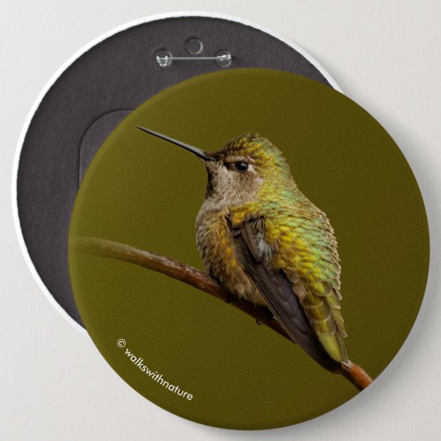 Anna's Hummingbird on Scarlet Trumpetvine Pinback Button (Front & Back)