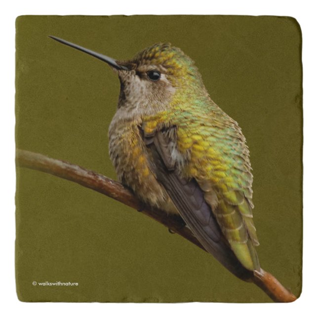 Anna's Hummingbird on Scarlet Trumpetvine Trivet (Front)