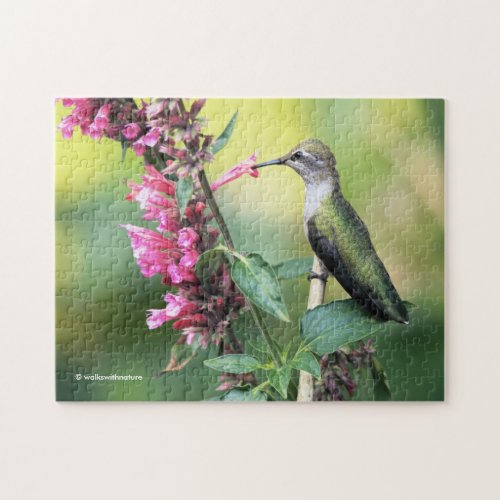 Annas Hummingbird on the Anise Hyssop Flowers Jigsaw Puzzle