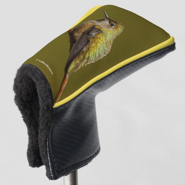 Anna's Hummingbird on the Scarlet Trumpetvine Golf Head Cover (3/4 Front)