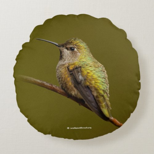 Annas Hummingbird on the Scarlet Trumpetvine Round Pillow