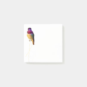 Anna's Hummingbird Photo 3x3 Notepad
