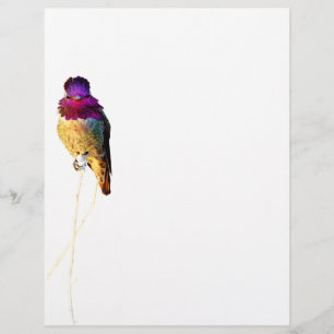 Anna's Hummingbird Photo Letterhead Stationery