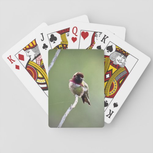 Annas Hummingbird Playing Cards