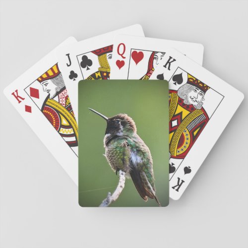 Annas Hummingbird Playing Cards