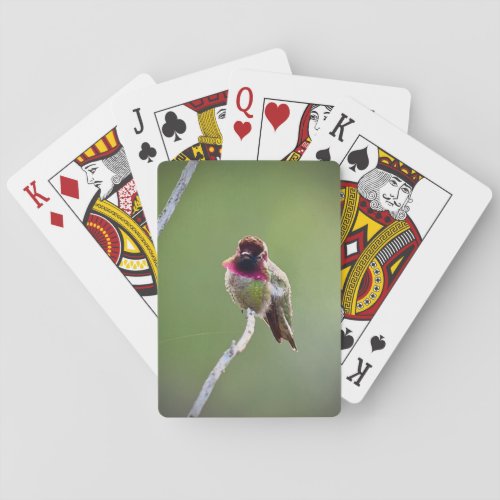 Annas Hummingbird Playing Cards