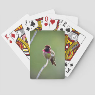 Anna's Hummingbird Poker Cards
