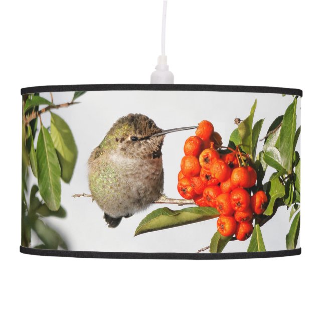 Anna's Hummingbird Poses with the Pyracantha Pendant Lamp (Front)