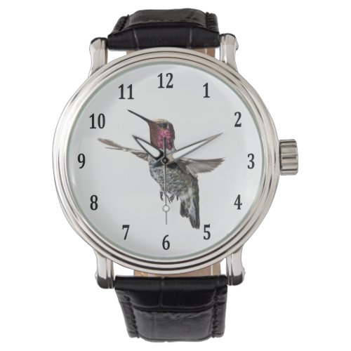 Annas Hummingbird Watch