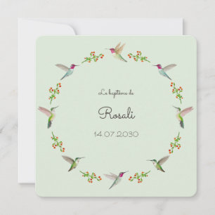 Anna's Hummingbirds Baptism