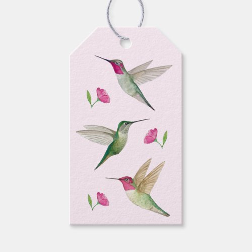 Annas Hummingbirds Gift Tag