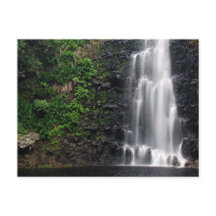 "Anna's Pond" Postcard