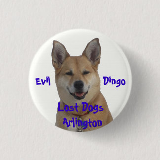 annie1234, Lost Dogs Arlington, Evil ... Pinback Button