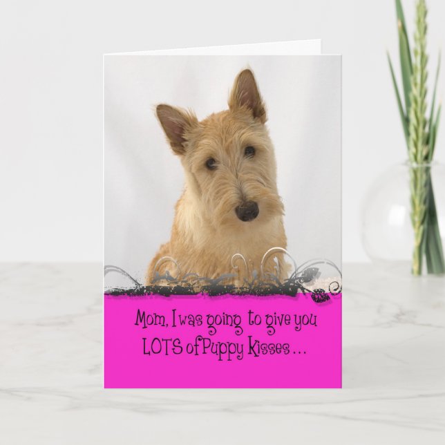 Annie Mother's Day Licker License Card (Front)