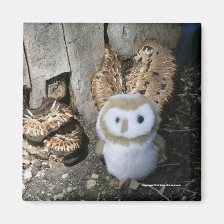 Annie & Mushrooms Magnet