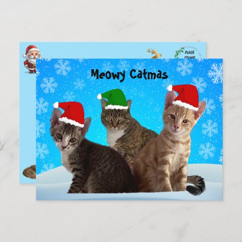 Annie Taz and Tito _ Cat Christmas Postcard