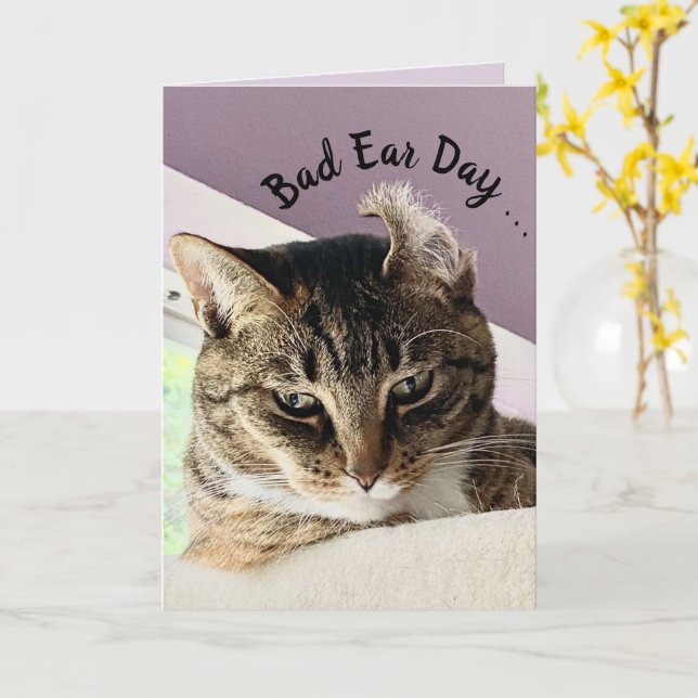 Annie's Bad Ear Day (Cat Greeting Card) Card (Yellow Flower)