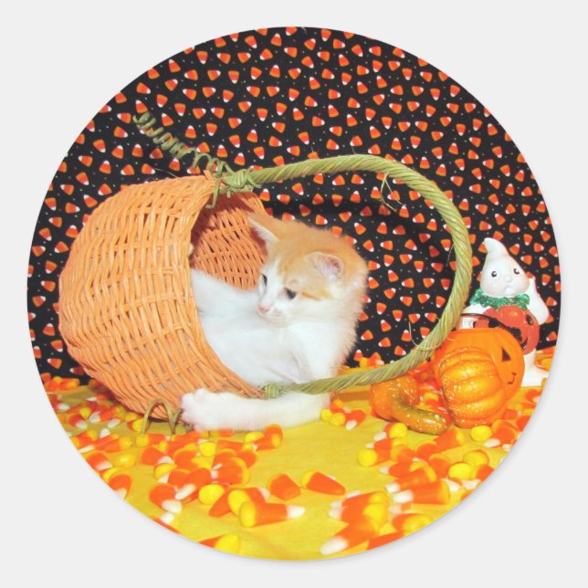 Annie's Basketful of Fun Cat Halloween Stickers (Front)