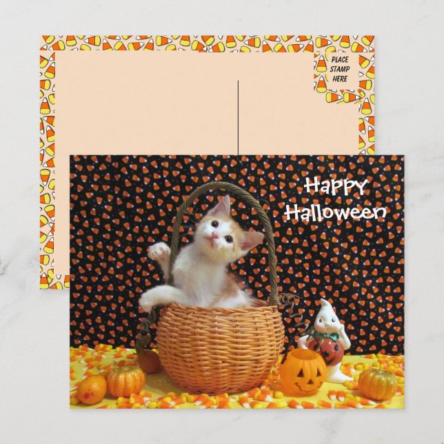 Annie's Curious Halloween Cat  Postcard (Front/Back)