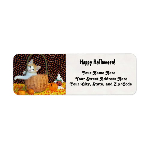 Annies Halloween 4325 Kitten  Cat Label