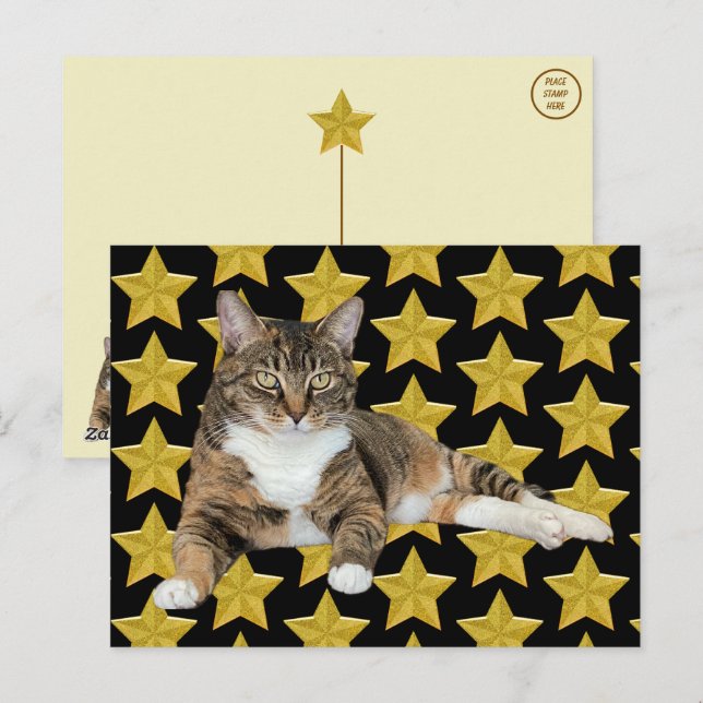 Annie's Star : Cat Postcard (Front/Back)