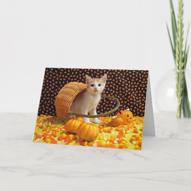 Annie's Sweet Cat / Kitten Halloween Card (Front)