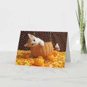 Annie's Sweet Halloween Cat / Kitten Card