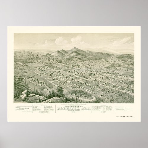 Anniston AL Panoramic Map _ 1888 Poster