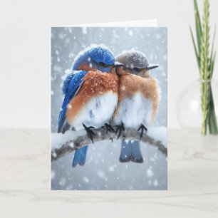 Anniversary Bluebirds In Snow Card