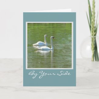 ANNIVERSARY/BY YOUR SIDE ALWAYS/TWO SWANS GLIDING
