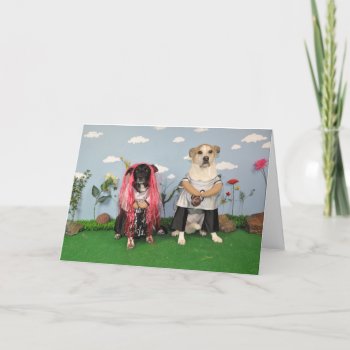 Anniversary Card 2 Dogs by PlaxtonDesigns at Zazzle