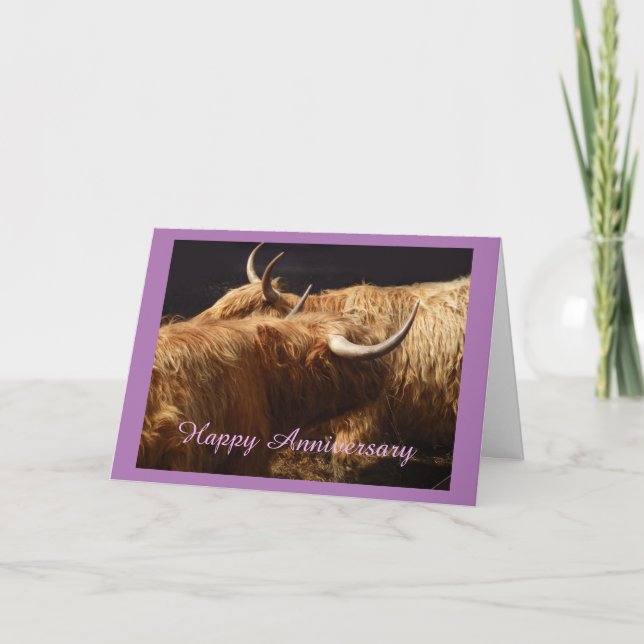 Anniversary card Highland cattle (Front)