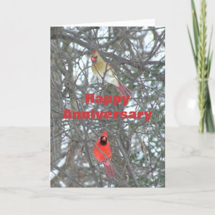 Anniversary Card, "Male and Female Cardinal" Card