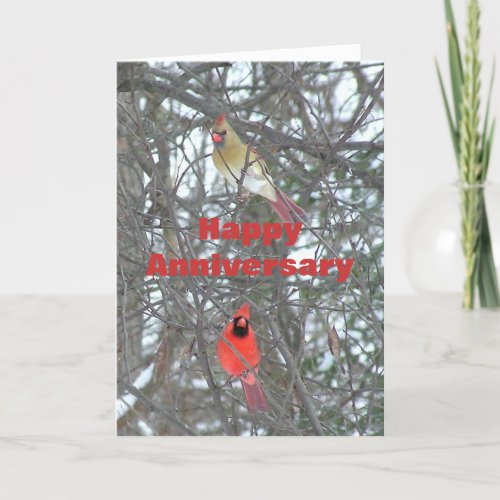 Anniversary Card Male and Female Cardinal Card